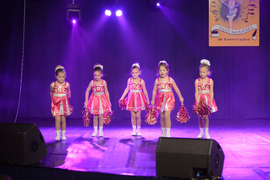 ../Images/Dansmarieke Festival 2016 239.jpg